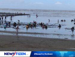 Masyarakat Desa Windu dan Sekitarnya Manfaatkan Air Laut Surut untuk Mencari Kerang Berkadar Gizi Tinggi