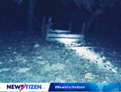 Bau Tak Sedap dari Kandang Babi Ganggu Masyarakat Desa Nangahale, Tuntutan Tindakan Tegas