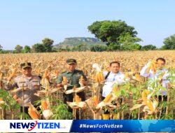 Kementerian Pertanian Kunjungan Kerja Di Tuban