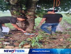 Diduga Diselingkuhi Kekasih Warga Jatirogo Gantung Diri