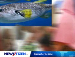 Konsumsi Ikan Buntal, Satu Warga Gorontalo Utara Meninggal, Satu Lainnya Dirawat di RSUD ZUS