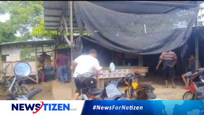 Polsek Brondong Polres Lamongan Berhasil Grebek Judi Sabung Ayam Di Lahan Milik Perhutani