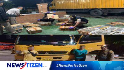 Polres Lampung Selatan Gagalkan Penyelundupan 444 Ekor Burung Tanpa Dokumen Resmi