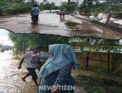 Banjir Besar di Lampung Selatan, Ratusan Hektar Sawah Terendam dan Terancam Gagal Panen