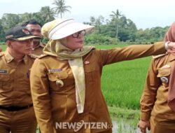 Langkah Cepat Pemkab Lampung Selatan Tangani Sampah di Bendungan Way Pisang untuk Cegah Banjir