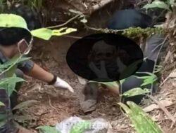 Polisi Evakuasi Kerangka Manusia di Hutan Kaleakan, Polopo-Toraja
