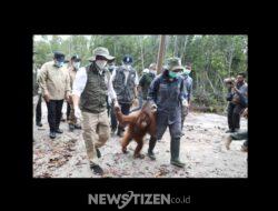 Meningkatkan Konservasi Orang Utan, Menteri Kehutanan Resmikan Kawasan Rehabilitasi di Nyaru Menteng
