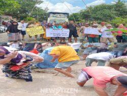Aksi Tabur Ikan Lele di Jalan Rusak, Warga 6 Desa di Palas Protes Puluhan Tahun Diabaikan