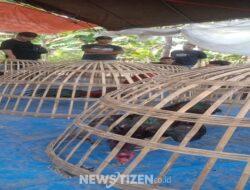 Hanya Beberapa Hari Pasca di Gerebek, Aktifitas Perjudian Sabung Ayam Kecamatan Sukomoro Kembali Beroperasi