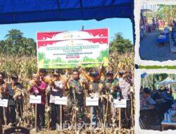 Kapolres Pohuwato Tegaskan Komitmen Polri Dukung Ketahanan Pangan Lewat Panen Raya Jagung Serentak