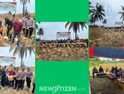 Panen Raya Jagung di Pohuwato, Momentum Perkuat Ketahanan Pangan dan Tarik Investasi Daerah