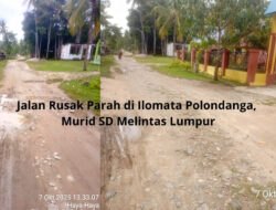 Jalan Rusak Parah di Ilomata Polondanga, Murid SD Melintas Lumpur: Warga Kecewa, Pemerintah Dinilai Abai!