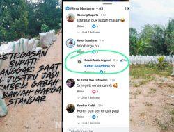 Ketegasan Bupati Dilanggar: Saat PPL Justru Jadi Pembeli Gabah di Bawah Harga Standar