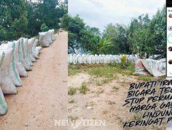 Bupati Irwan Bicara Tegas: Stop Permainan Harga Gabah, Lindungi Keringat Petani!