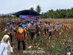 Dari Seragam ke Cangkul: Polres Pohuwato Tanam Kepedulian Lewat Panen Jagung