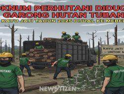 Oknum Perhutani Diduga Garong Hutan Tuban, Kayu Jati Tahun 2025 Dijual ke Mebel