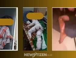 Keluarga Diserang Saat Cari Jalur Alternatif, Mobil Dirusak dan Anak Disiram Air Panas di Luwu