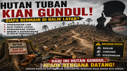 Hutan Tuban Digunduli: Siapa Bermain di Balik Layar?