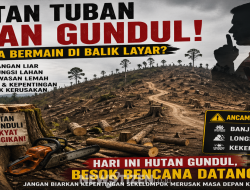 Hutan Tuban Digunduli: Siapa Bermain di Balik Layar?