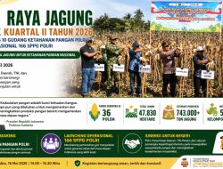 Panen Raya Jagung hingga Layanan Gizi Diluncurkan, Polri dan Pemda Pohuwato Perkuat Ketahanan Pangan Daerah