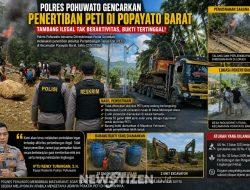 Jejak PETI di Popayato: Tambang Hilang, Bukti Tertinggal—Siapa Bermain di Balik Layar?
