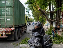 Pengendara Aerox Nyaris Celaka di Jalan Aloe Saboe, Wajah Tertimpa Ranting Pohon Akibat Senggolan Kontainer