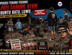 Diduga Beroperasi Terang-terangan, Arena Sabung Ayam di Luwu Jadi Sorotan, Warga Pertanyakan Ketegasan Aparat