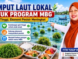 DPRD Gorontalo Utara Dorong Rumput Laut Masuk Menu MBG, Dinilai Tingkatkan Gizi Anak dan Ekonomi Pesisir