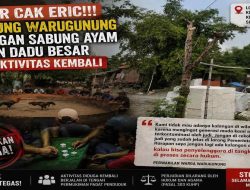 Lapor Cak Eri! Warga Resah, Dugaan Arena Judi Sabung Ayam dan Dadu Kembali Buka di Karangpilang