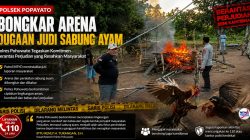 Polsek Popayato Bongkar Arena Dugaan Judi Sabung Ayam, Polres Pohuwato Tegaskan Komitmen Berantas Perjudian