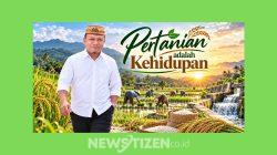 Sawah adalah Pondasi Kehidupan: Menghargai Pertanian Berarti Menjaga Masa Depan Bangsa